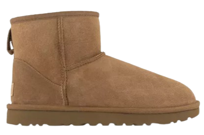 Shoe